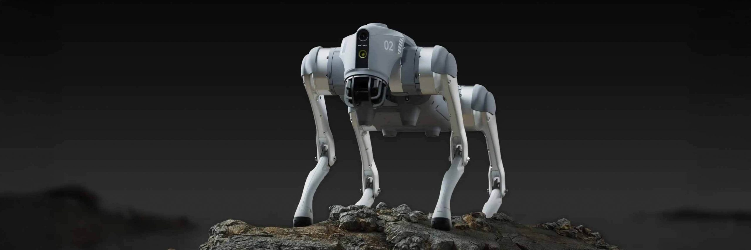 Unitree: Vision AI for Embodied Intelligence