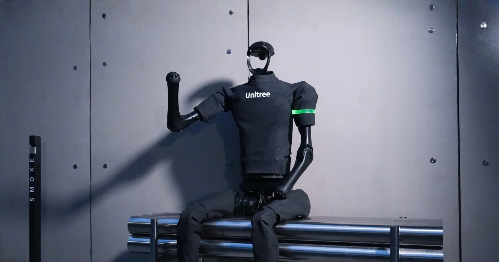 Unitree: Vision AI for Embodied Intelligence