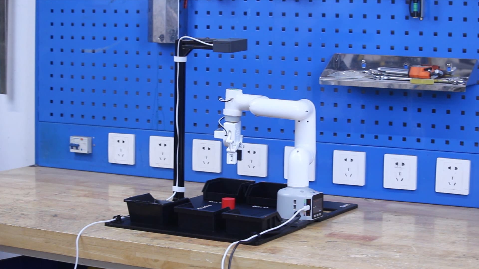 Unleashing the Power of Robot Arms and RealSense 3D Cameras